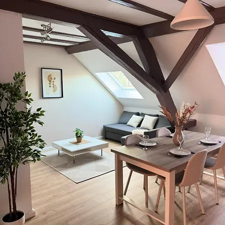Le Cocon De L'arc, Parking Gratuit * Mulhouse