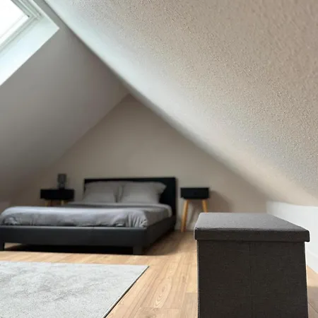 Le Cocon De L'arc, Parking Free Апартаменты Мюлуз