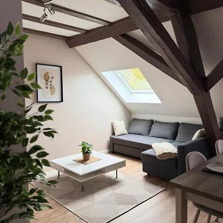 Le Cocon De L'arc, Parking Free Apartment Mülhausen